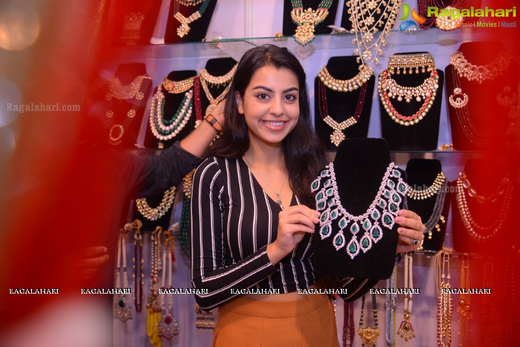 Sasha Singh inaugurates Akritti Exhibition & Sale at Taj Deccan