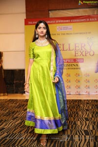 The Jewellery Expo 2018 Hyderabad