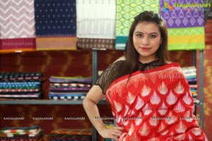 Handloom IKAT Mela 2018