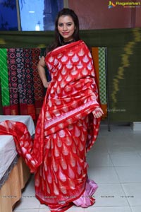 Handloom IKAT Mela 2018