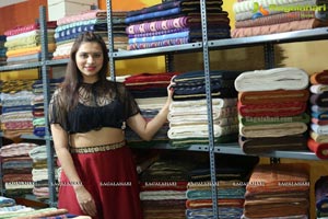 Handloom IKAT Mela 2018