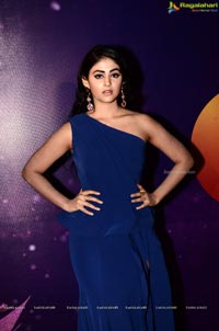 Zee Telugu Apsara Awards 2018 Photos