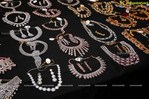 Akriti Elite Exhibition and Sale Kicks Off