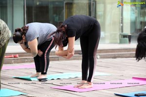 Period YOGA by Rina Hindocha