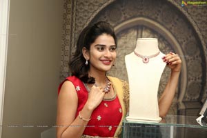 PMJ Jewels Introduces Aalayam Collection