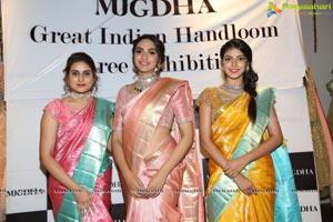 Sashi Vangapalli's Creative Handloom Sarees Exhibition