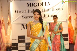 Sashi Vangapalli's Creative Handloom Sarees Exhibition