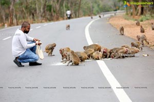 Volunteers Feed Hungry Monkeys