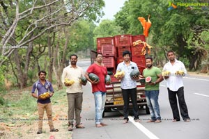 Volunteers Feed Hungry Monkeys