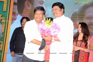 Gully Rowdy Movie First Look Launch