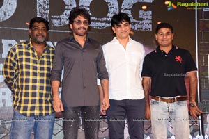 Wild Dog Movie Success Meet