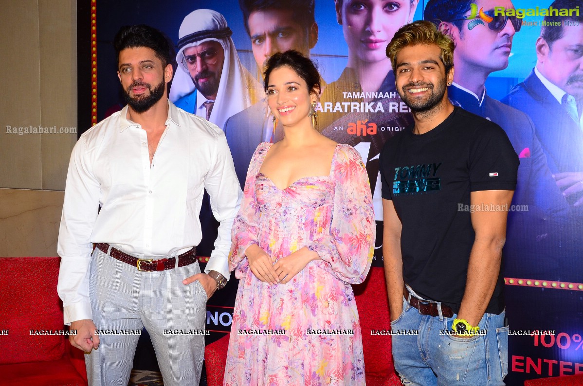 11th Hour Web Series Press Meet