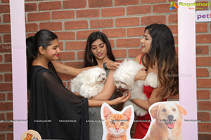 Pet Folk Social Media App Launch