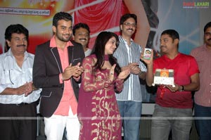 Adi Nuvve Audio Release