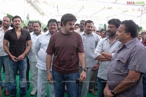 Balakrishna-Paruchuri Film Muhurat