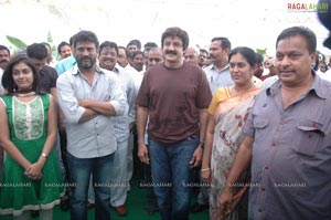 Balakrishna-Paruchuri Film Muhurat