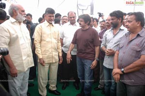 Balakrishna-Paruchuri Film Muhurat