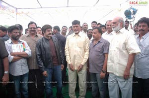 Balakrishna-Paruchuri Film Muhurat