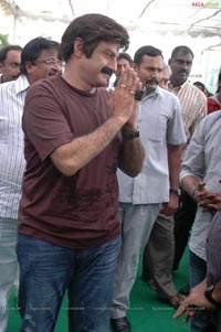 Balakrishna-Paruchuri Film Muhurat