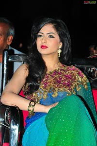 Cine MAA Awards 2010