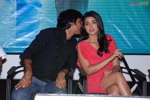 Don Seenu Platinum Disc Function