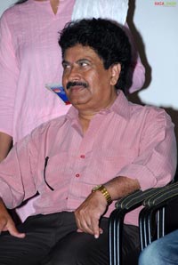 Don Seenu Platinum Disc Function