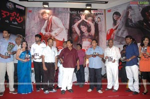 Saradaga Kasepu Audio Release