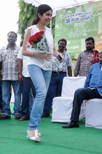 Katha, Screenplay, Darshakatvam Appalraju Muhurat