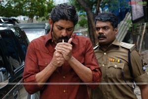 Jagapathi Babu, Vimala Raman