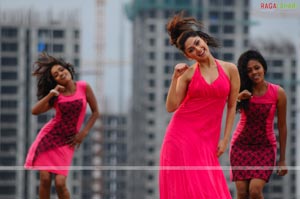 Raja, Saandip, Ravi Varma, Richa, Manjari Fadnis