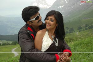 Rajasekhar, Kamalinee Mukherji