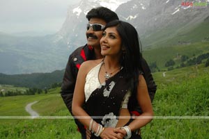 Rajasekhar, Kamalinee Mukherji