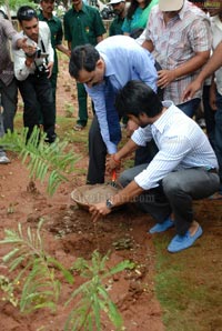 Ram Charan Tej Launches Apollo Go Green Initiative &  Herbal Garden