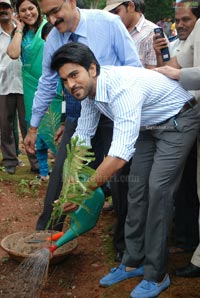 Ram Charan Tej Launches Apollo Go Green Initiative &  Herbal Garden