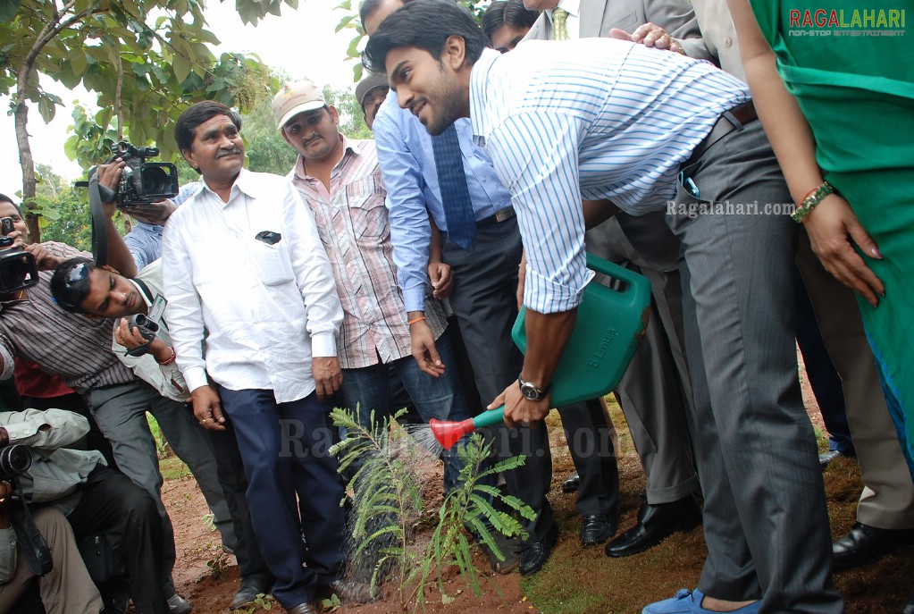 Ram Charan Tej Launches Apollo Go Green Initiative & Herbal Garden