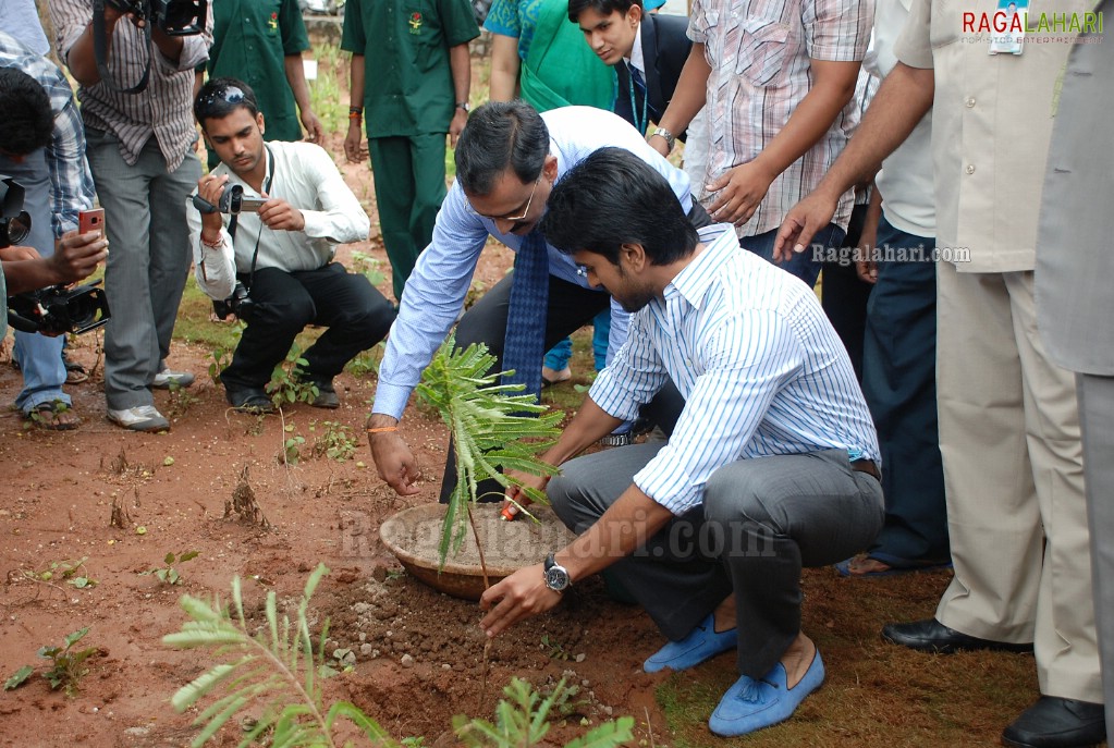 Ram Charan Tej Launches Apollo Go Green Initiative & Herbal Garden