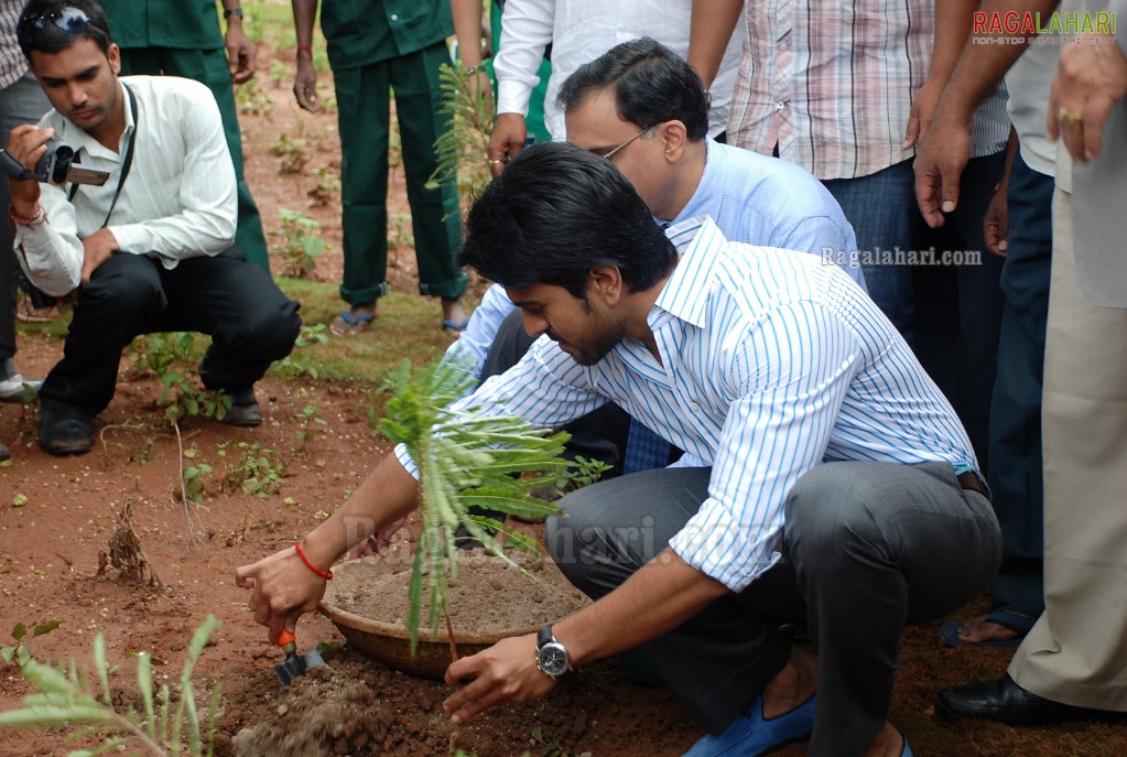 Ram Charan Tej Launches Apollo Go Green Initiative & Herbal Garden