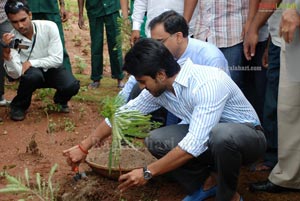 Ram Charan Tej Launches Apollo Go Green Initiative &  Herbal Garden