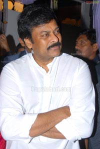 Chiranjeevi Launches Designer Bear