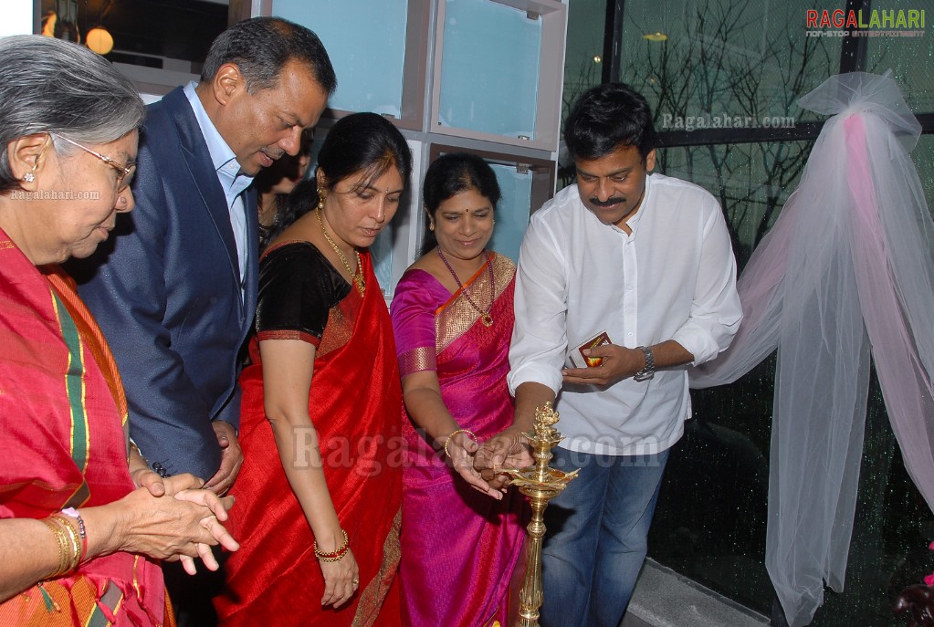 Chiranjeevi Launches Designer Bear