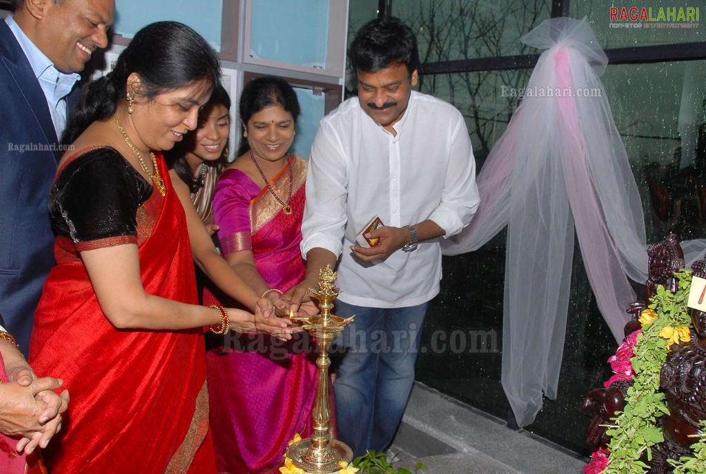 Chiranjeevi Launches Designer Bear