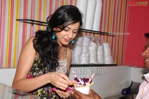 Rakul Preet Singh Launches New Flavours at Creamstone