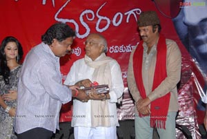 Daggaraga Dooramga Audio Release