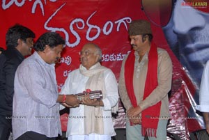 Daggaraga Dooramga Audio Release