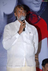 Daggaraga Dooramga Audio Release