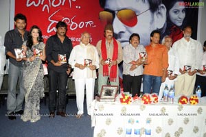 Daggaraga Dooramga Audio Release