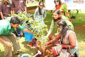 Satrang - The Annual Art Festival at Glendale