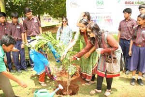 Satrang - The Annual Art Festival at Glendale