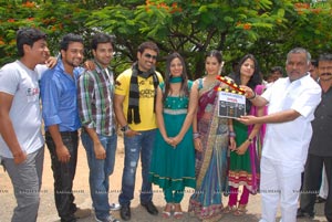 Hormones Muhurat