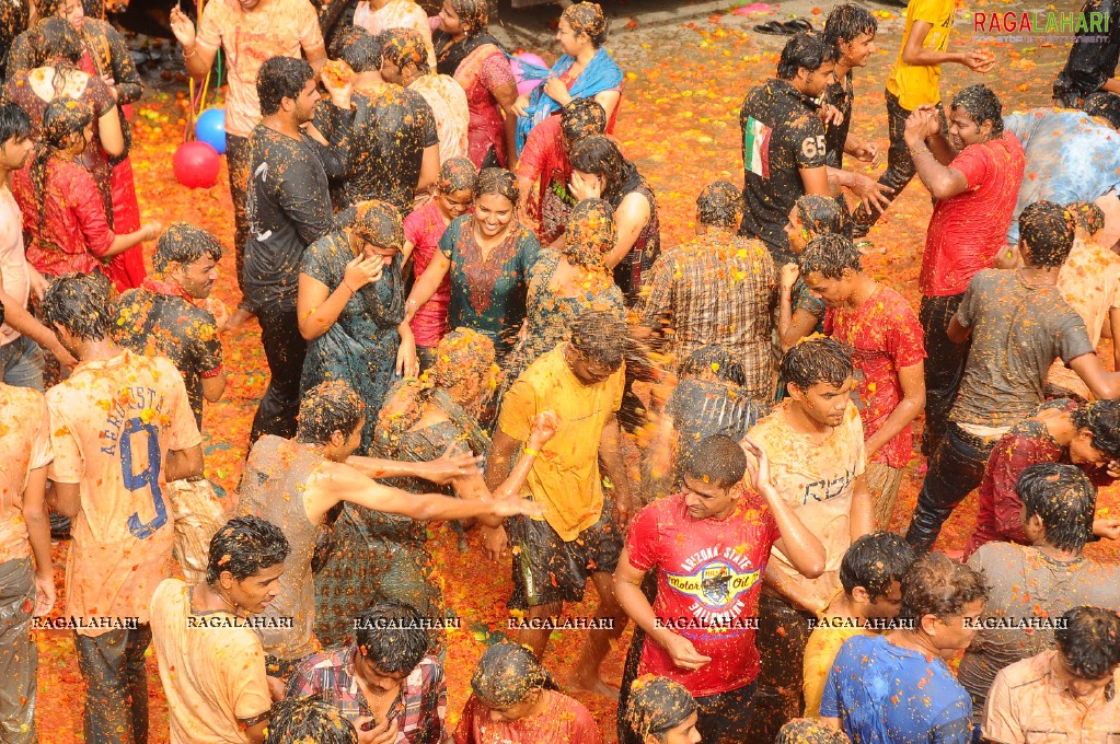 La Tomatina 2011, Hyd